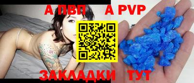 шишки Тверь