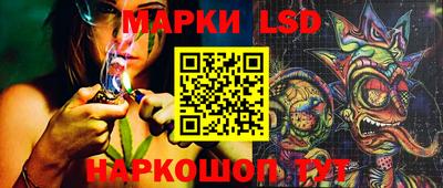 шишки Тверь