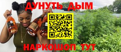 шишки Тверь