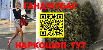 шишки Тверь