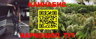 шишки Тверь