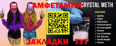 шишки Тверь