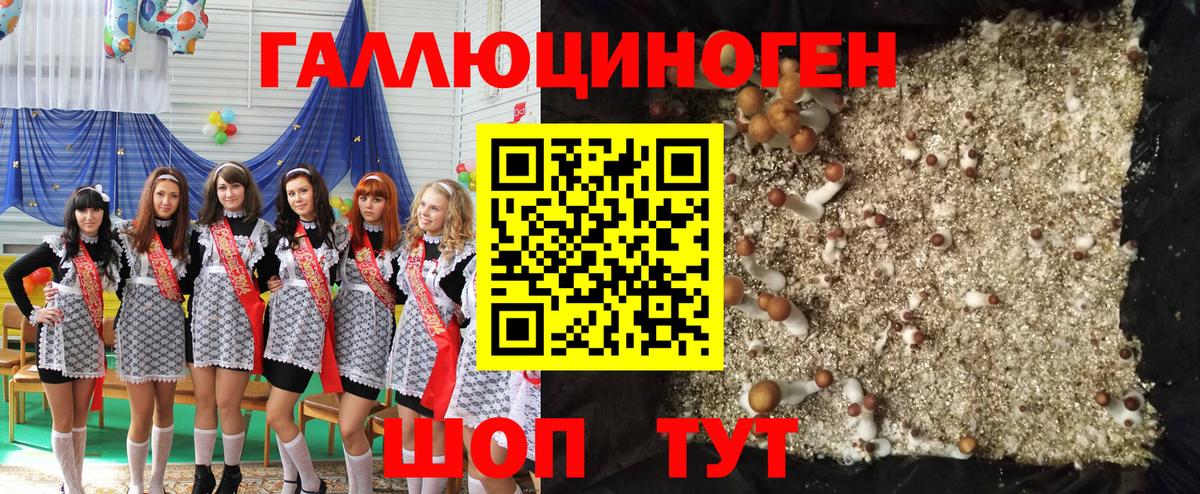 Галлюциногенные грибы GOLDEN TEACHER  Вход с VPN  Богородицк 